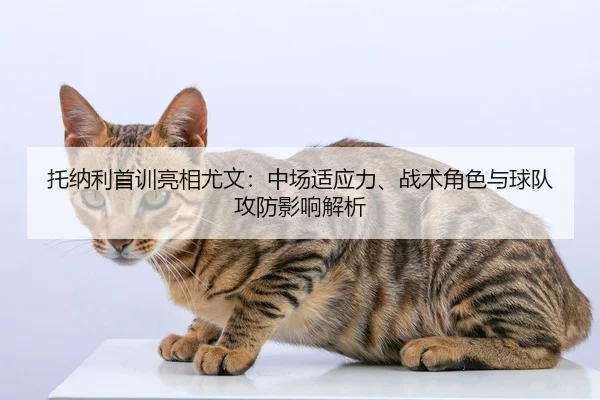 tuo-na-li-shou-xun-liang-xiang-you-wen-zhong-chang-shi-ying-li-zhan-shu-jue-se-yu-qiu-dui-gong-fang-ying-xiang-jie-xi-2-382.jpg